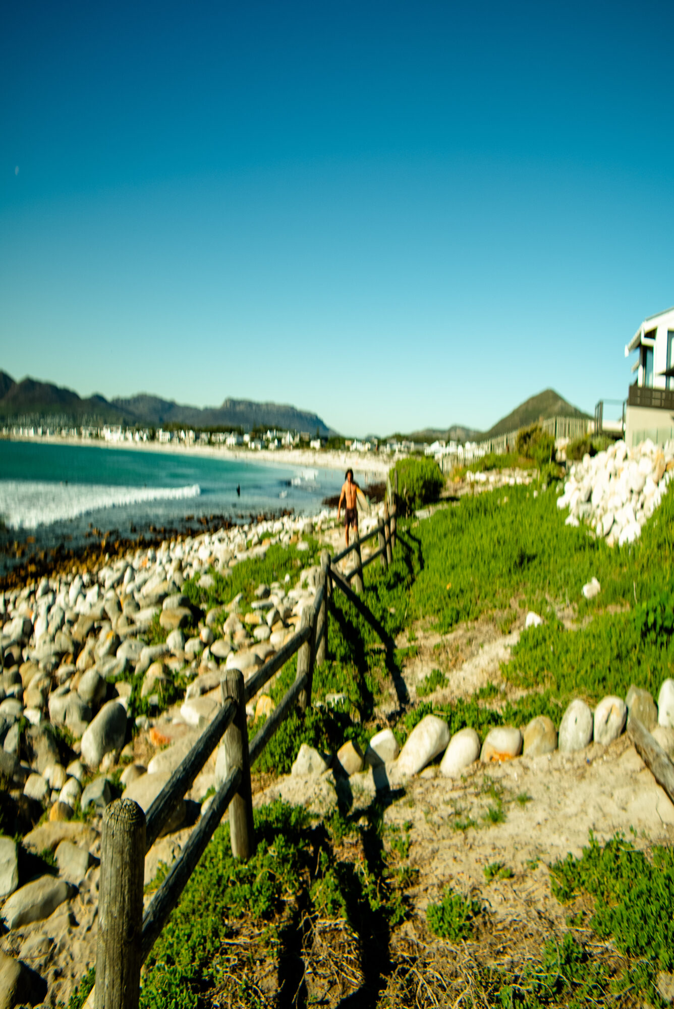 A coastal walk through stone, sea air, dogs, and Cape light.